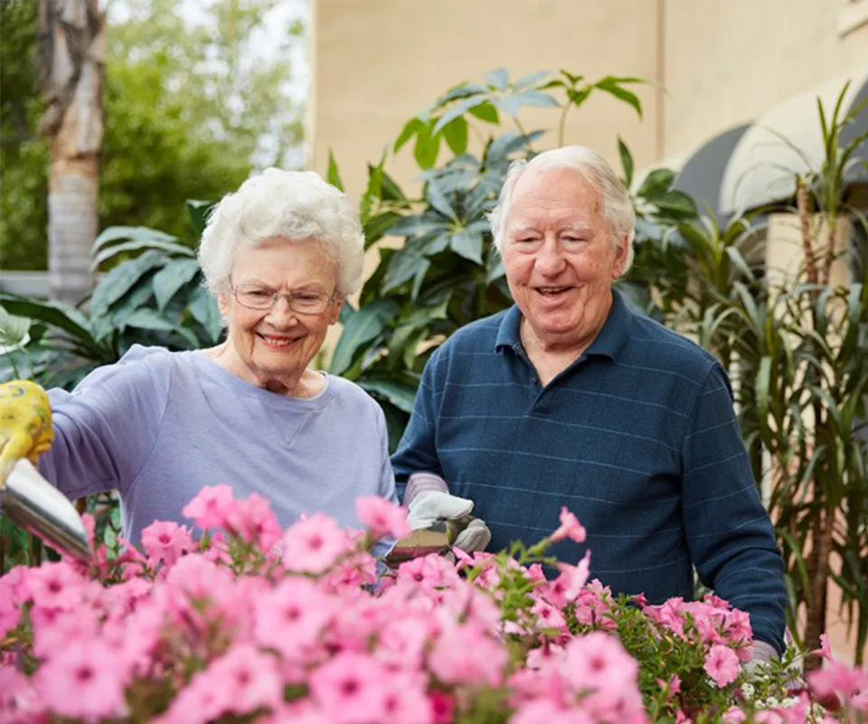 Senior Living Digital Marketing: Build Visibility and Connect With More Families