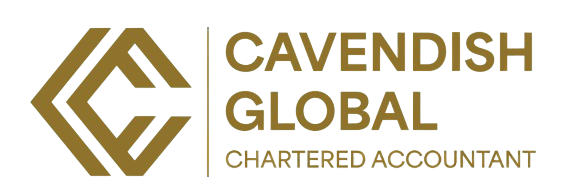 Role of Certified Public Accountants in Modern Businesses in Dubai
